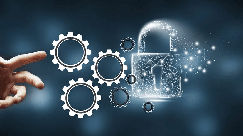 What is Risk Management?